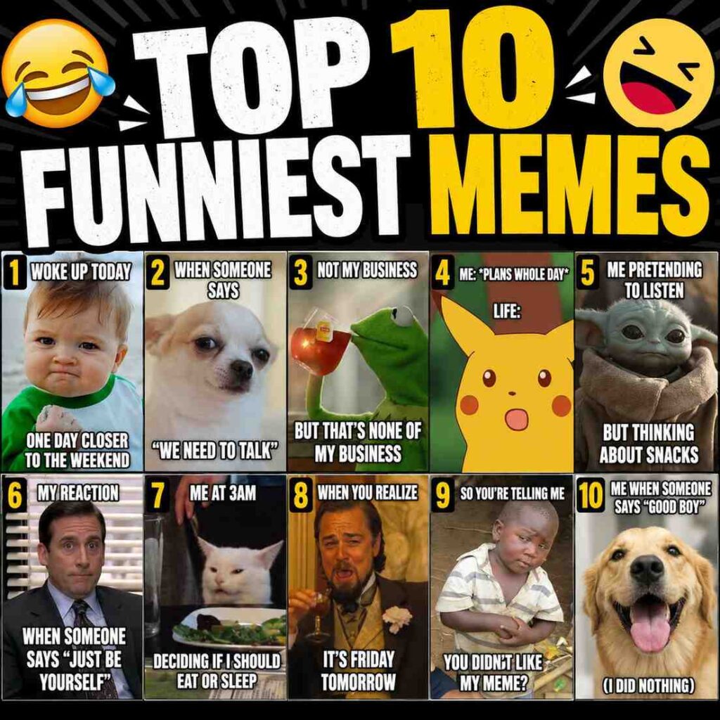 Top 10 Funniest Memes